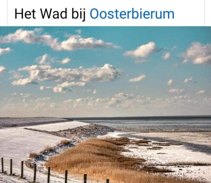 4-Persoons Vakantiehuisje Simmerwille Tzummarum Bagian luar foto